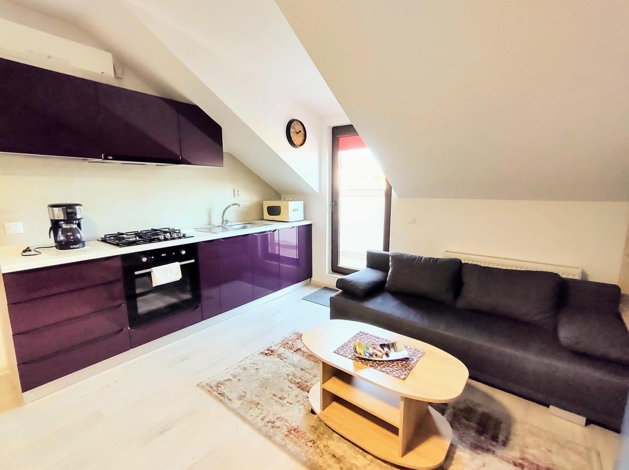 Simona Apartament Palas Mall Яссы Экстерьер фото